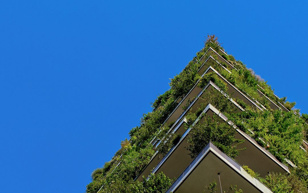 Building a responsible native school